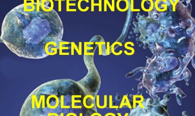 Special Session: Biotechnology, Genetics and Molecular Biology, Engineering 4.0 Education